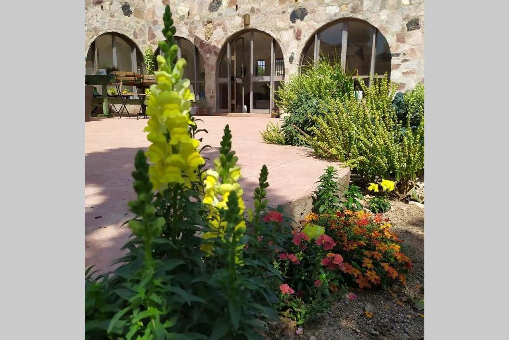 Apartmán Eilat Stone - Patio אבן אילת - פטיו Exteriér fotografie