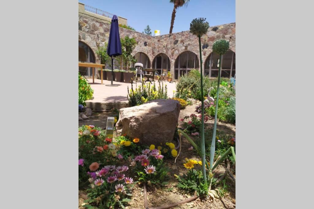 Apartmán Eilat Stone - Patio אבן אילת - פטיו Exteriér fotografie