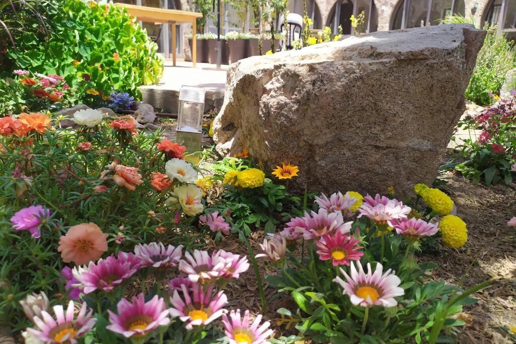 Apartmán Eilat Stone - Patio אבן אילת - פטיו Exteriér fotografie