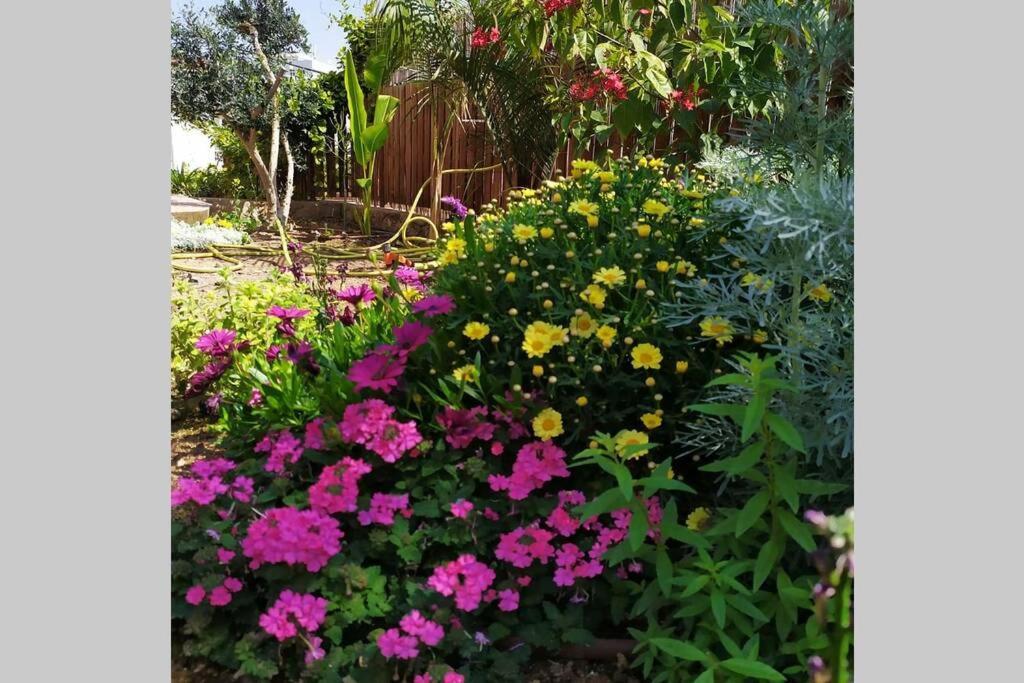 Apartmán Eilat Stone - Patio אבן אילת - פטיו Exteriér fotografie